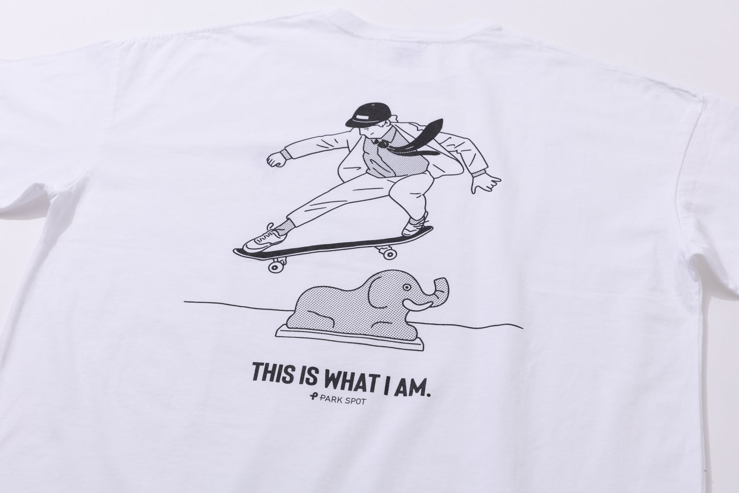 【 PARK SPOT 】THIS IS WHAT I AM. 〔OLLIE〕